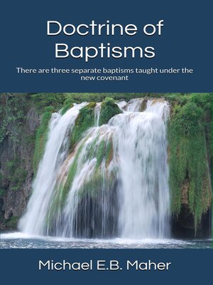 cover image of Doctrine of Baptisms
